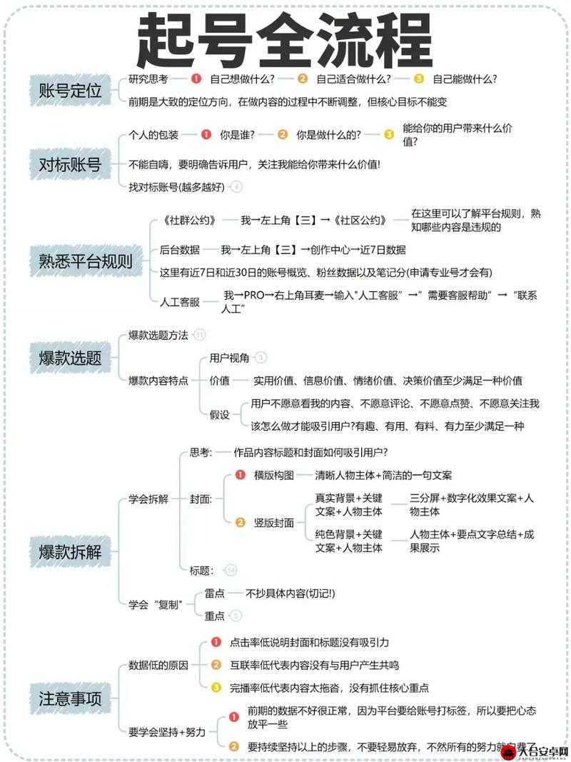 新手篇，新手上路必备！全面掌握自媒体创作策略与全攻略